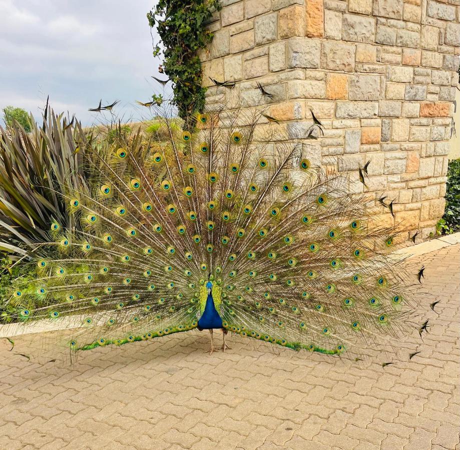 Porterfield Guest House, Champagne Valley Esterno foto